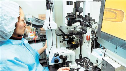 Αλαλούμ με τα βλαστοκύτταρα