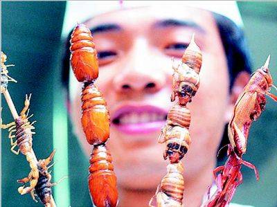 Ενα έντοµο στο πιάτο µου