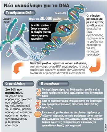 «Εικονικά» γονίδια  ρυθμίζουν τη ζωή!