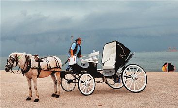Η βόλτα με την άμαξα  κατέληξε στη θάλασσα