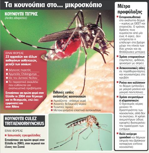 Συναγερμός για τα κουνούπια
