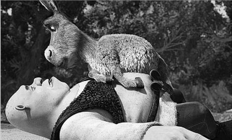 Σρεκ και φίλοι από τα παλιά