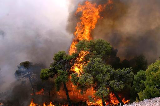 Σε εξέλιξη πυρκαγιές στη Λακωνία και την Κεφαλλονιά