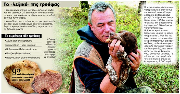 «Τα σκυλιά µου βρήκαν λευκή τρούφα»