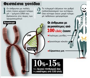 Σηµάδι νεότητας οι κρεατοελιές