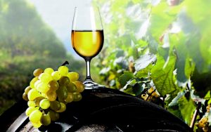 Στο μισό η παραγωγή κρασιού φέτος