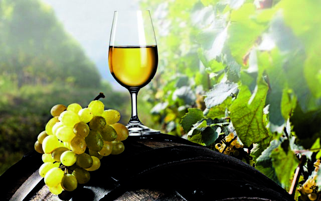 Στο μισό η παραγωγή κρασιού φέτος