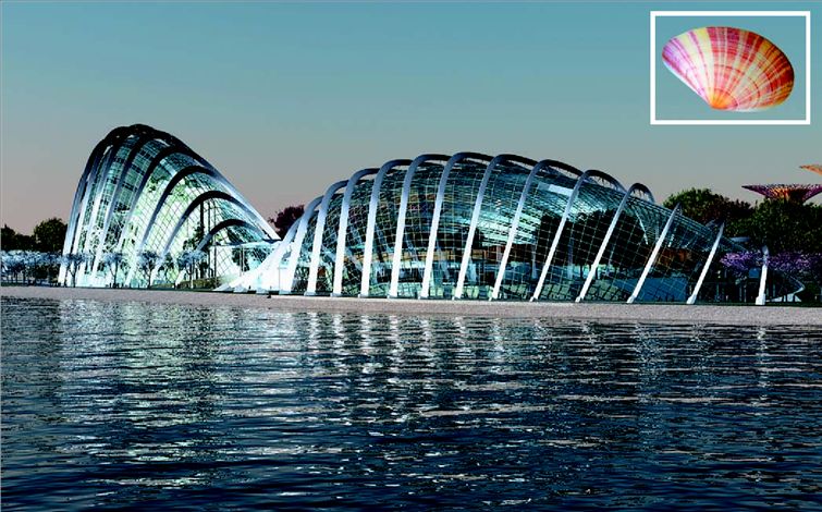 Κτίρια σαν κάµπιες, κοχύλια ή σκαθάρια