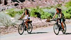 Ορθοπεταλιές