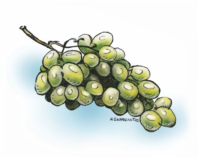 Ψητό κοτόπουλο με σταφύλια