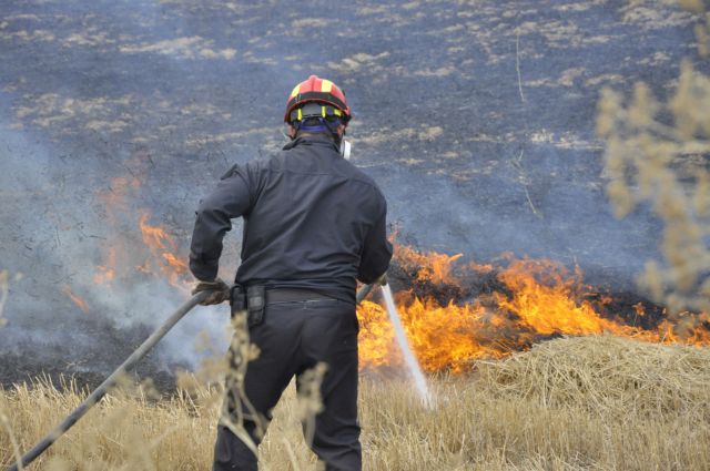Πυρκαγιά σε δασική έκταση στην Κόνιτσα Ιωαννίνων