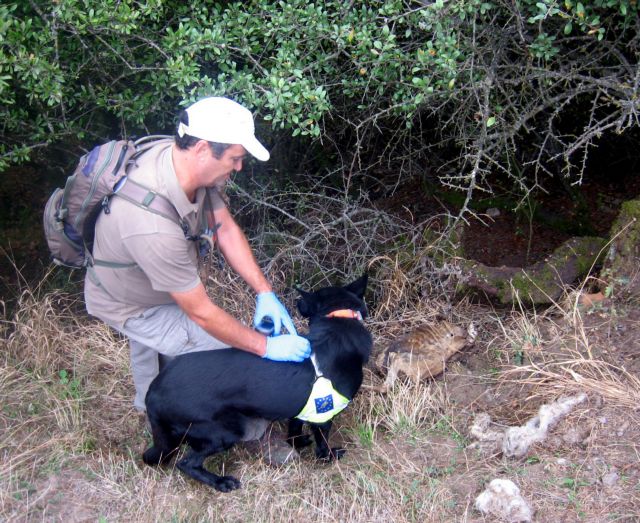 Επιστράτευση ανδαλουσιανών σκύλων ενάντια στα δηλητηριασμένα δολώματα