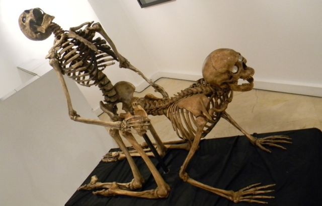 «Ραγιάδες έχεις μάνα γη, σκυφτούς για το χαράτσι…»