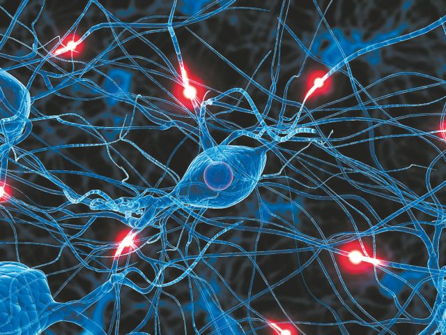 Εγκεφαλικά κύτταρα από δέρμα