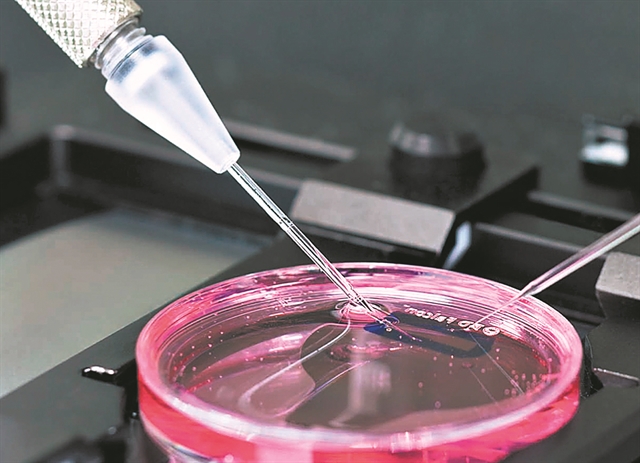 ΚΡΕΜΑΣΤΙΝΟΣ