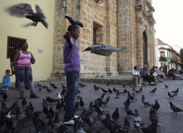 Τα περιστέρια έχουν το δικό τους GPS