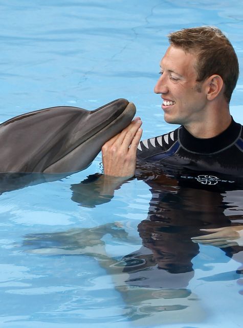 Δελφίνι: το δεύτερο εξυπνότερο πλάσμα στον πλανήτη