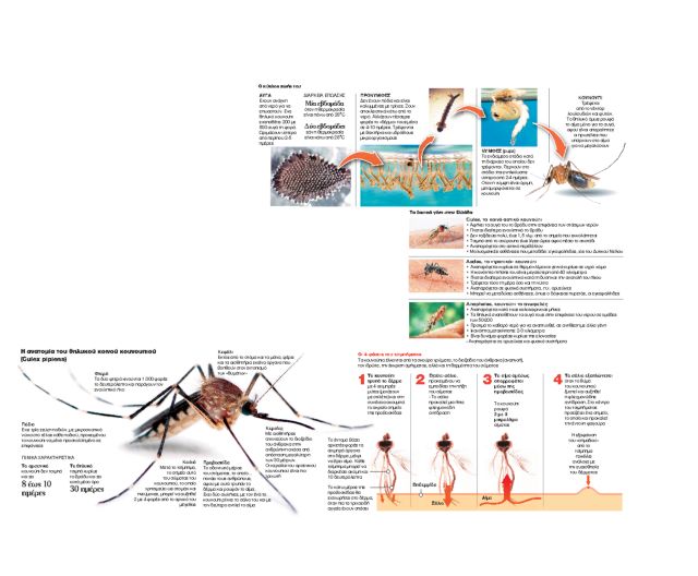 Τα ελκύουν τα καλλυντικά, 
τα διώχνει η λεβάντα
