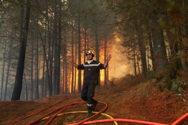 Πυρκαγιά σε δάσος στο Σοφικό Κορινθίας