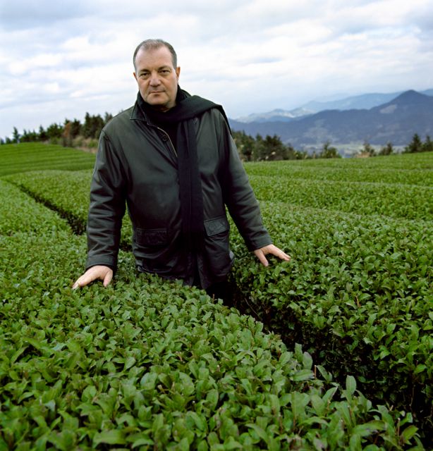 Ανακάλυψε τον δρόμο του τσαγιού