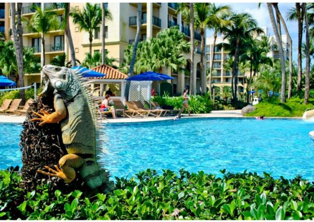 Το κυνήγι του ιγκουάνα