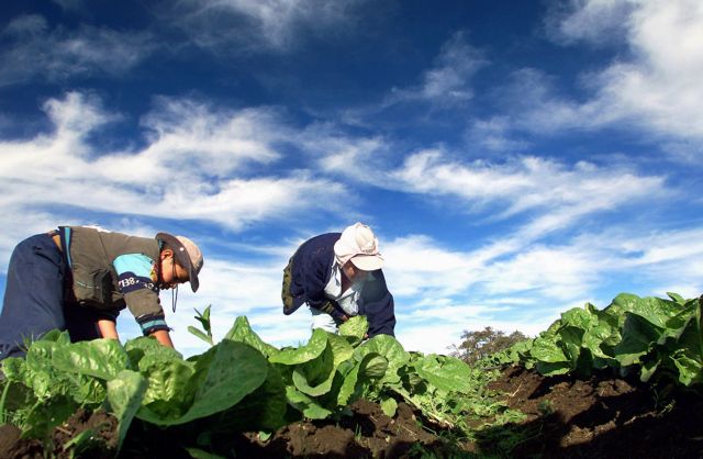 Φόρος με βάση τα βιβλία στους αγρότες