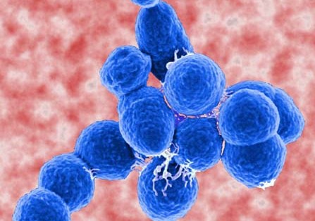 Η αντοχή του πνευμονιοκόκκου στα αντιβιοτικά