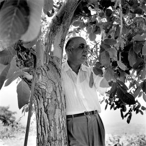 Πάνω σε στίχους του Σεφέρη