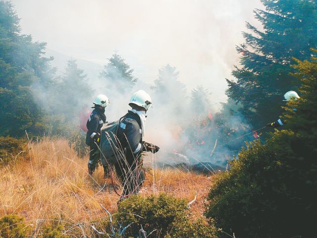 Στο εδώλιο τρείς αξιωματικοί της Πυροσβεστικής για τον θάνατο δασοπυροσβεστών