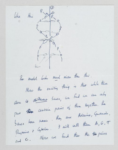 Δημοπρατείται σπάνια επιστολή του Φράνσις Κρικ για την ανακάλυψη του DNA