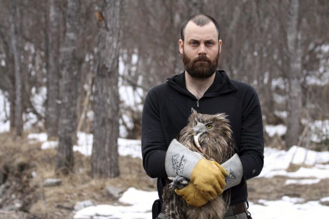 Τα μυστικά της κουκουβάγιας