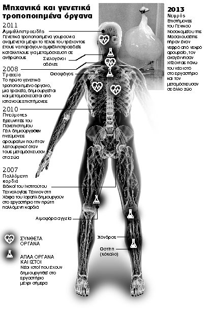 «Επισκευή» και μεταμόσχευση νεφρού!