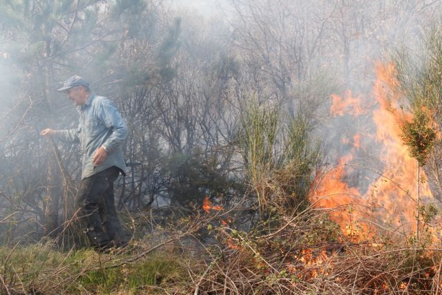 Σε εξέλιξη δασική πυρκαγιά στα Τρίκαλα Κορινθίας