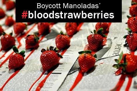Διεθνές μποϊκοτάζ της φράουλας Μανωλάδας