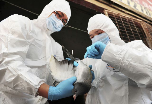 Κλιμάκιο του ΠΟΥ στην Κίνα για τη νέα μορφή της γρίπης των πτηνών