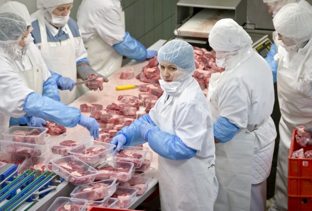 ΕΛΣΤΑΤ: 111 τόνοι αλογίσιου κρέατος έφθασαν στην Ελλάδα τη διετία 2011-2012