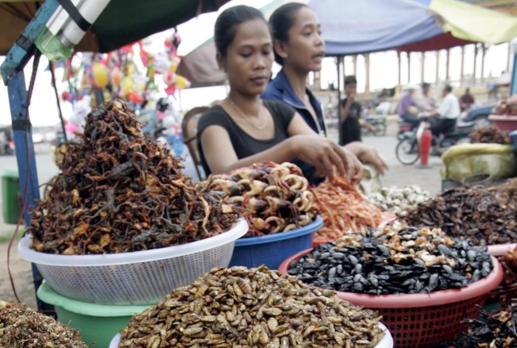ΟΗΕ: «Φάτε… έντομα για να λύσουμε το πρόβλημα του υποσιτισμού»