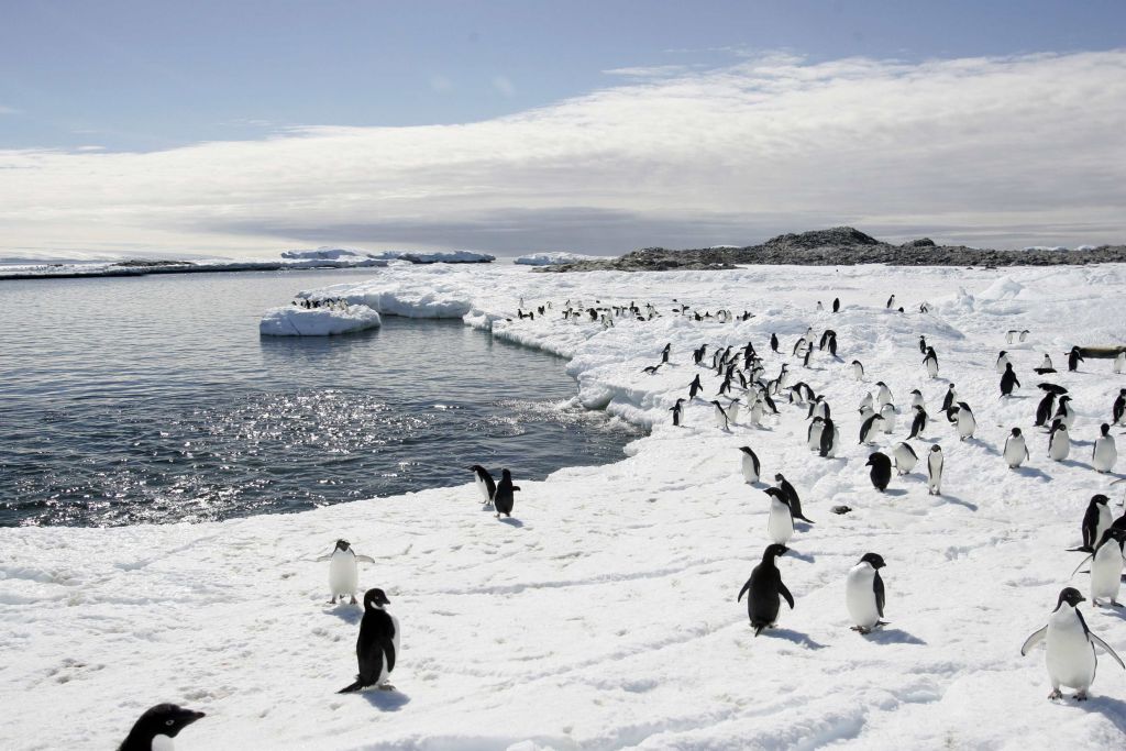 Σήμα κινδύνου από τους επιστήμονες: 300 δισ. τόνοι πάγων λιώνουν κάθε χρόνο στους πόλους