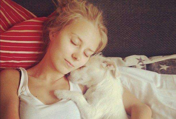 Αδέσποτα από την Κρήτη βρίσκουν οικογένεια στα ξένα