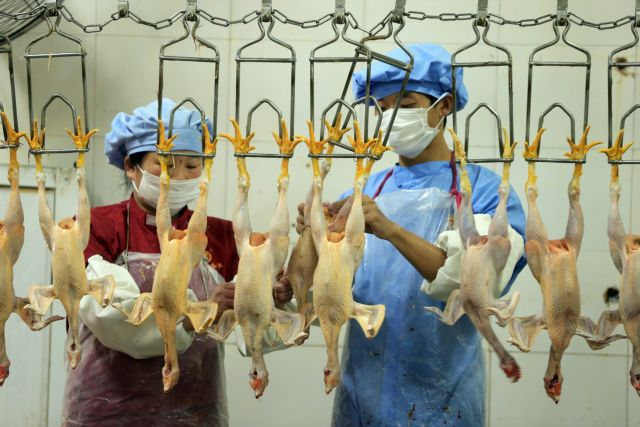Μία ακόμη γυναίκα ανεβάζει σε 134 τα κρούσματα του ιού Η7Ν9 στην Κίνα