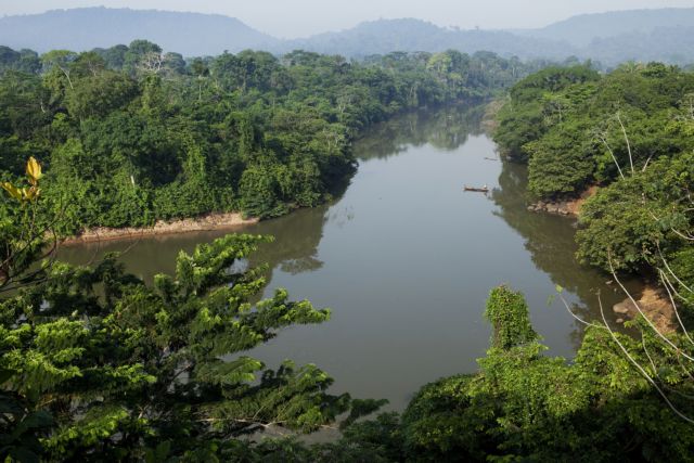 Η εξαφάνιση των μεγάλων ζώων περιόρισε τα τροπικά δάση στον Αμαζόνιο