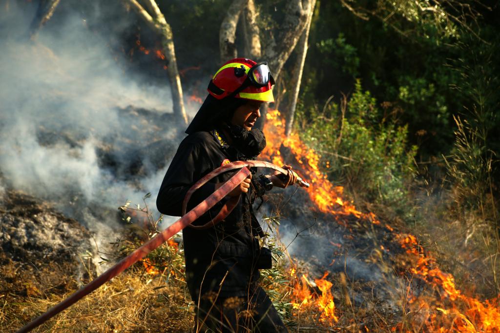 Κάηκαν 150 στρέμματα με πουρνάρια στην Ασπροβάλτα