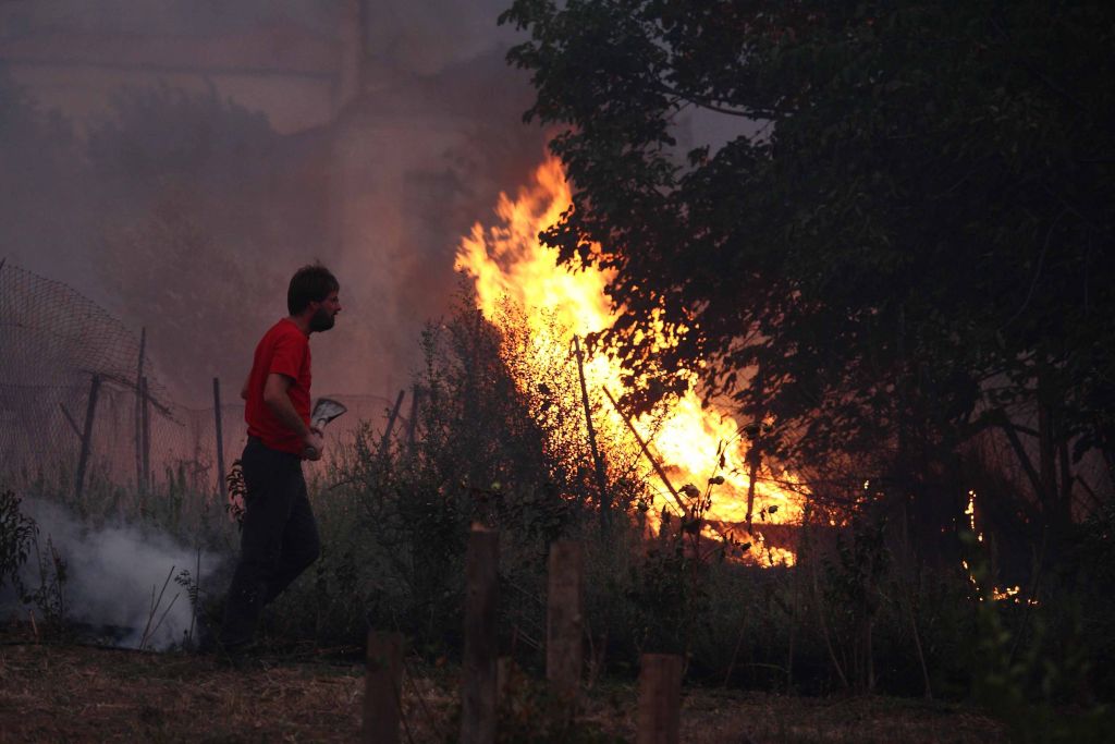 Πυρκαγιά σε δασική έκταση στα Οινόφυτα Βοιωτίας