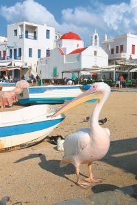 Η Μύκονος μέσα από την κάμερα του Mega…