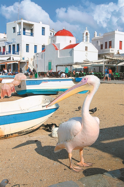 Η Μύκονος μέσα από την κάμερα του Mega…