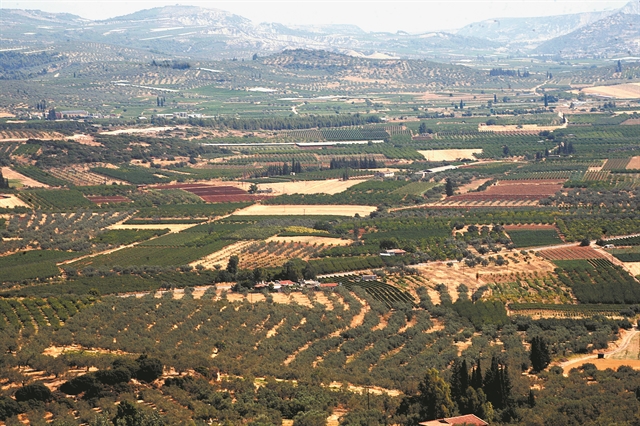 Στον… αέρα αγοραπωλησίες αγροτεμαχίων