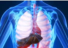 Πώς προλαμβάνεται και πώς αντιμετωπίζεται η πνευμονική εμβολή