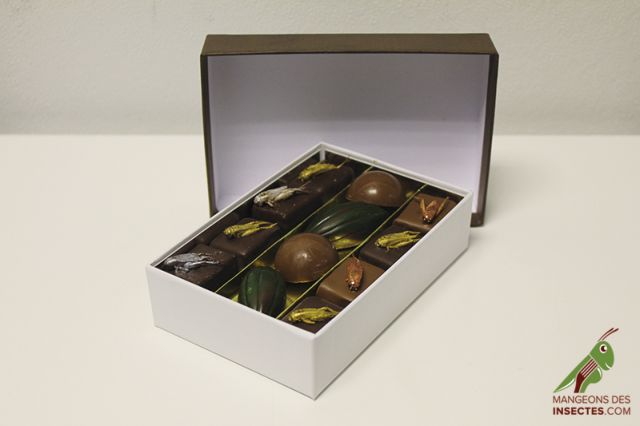 Σοκολατάκια με… γρύλους