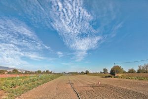 Αγροτική χρήση με αντίτιμο και όρους