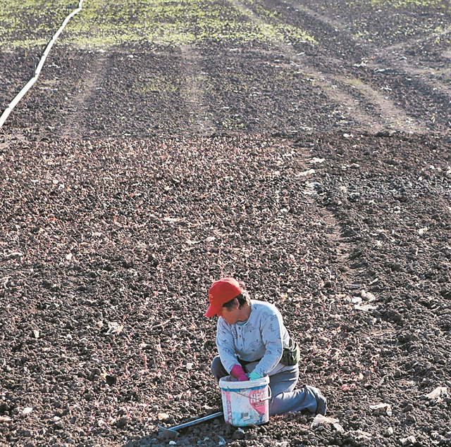 ΤΟ ΠΟΡΤΟΦΟΛΙ ΜΟΥ